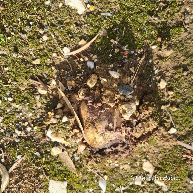 You can see old ones everywhere!