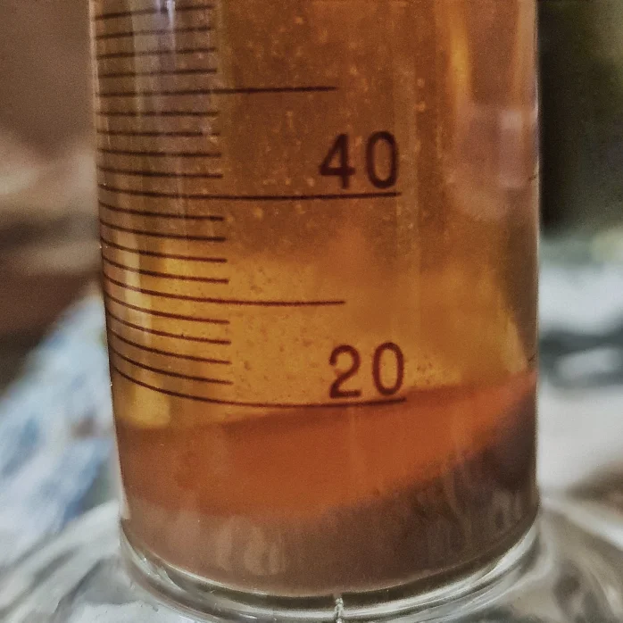 Beta-glucans settled out of a Reishi tincture.
