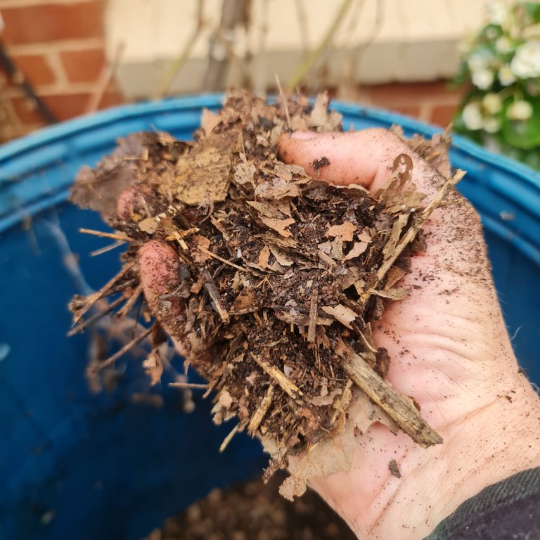 Pic #3