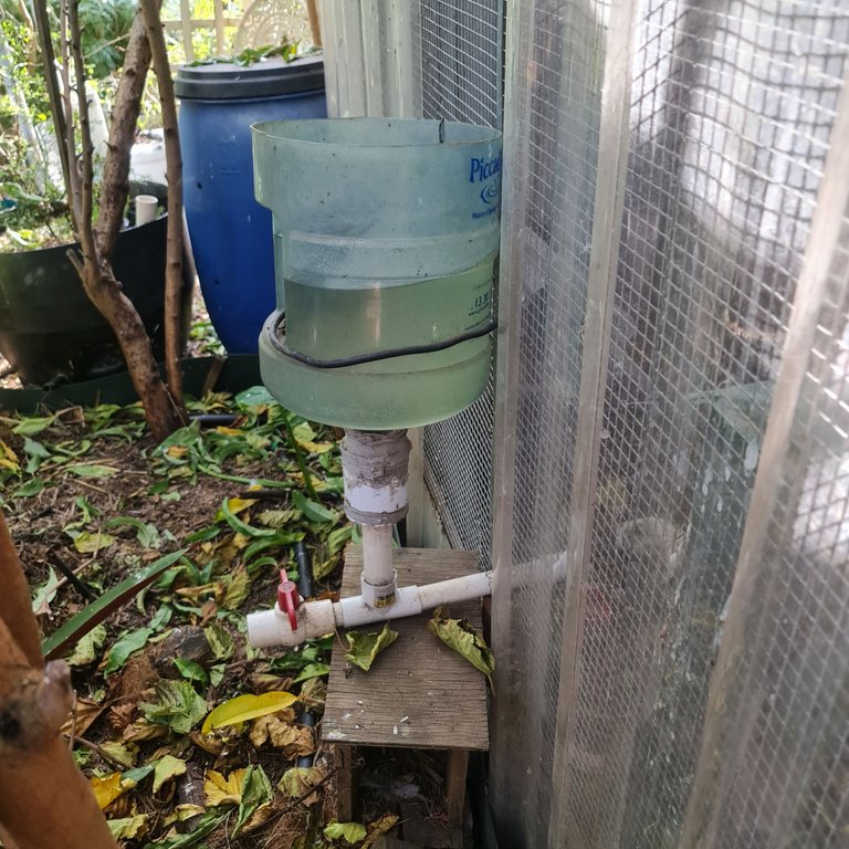 Our chook waterer.