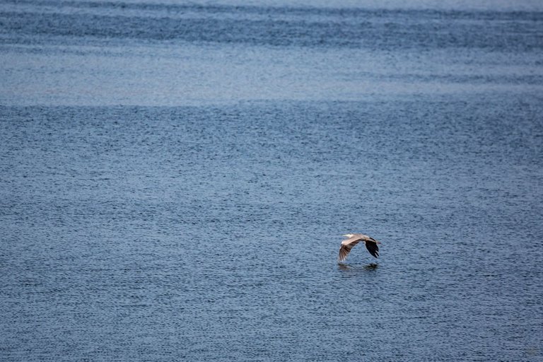 DDH_6458.jpg