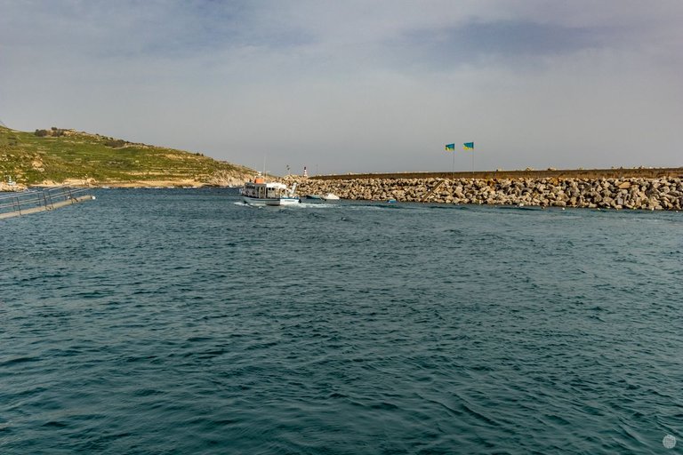 IMG_5654.jpg