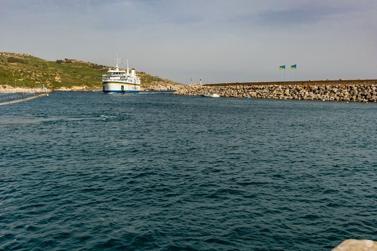 IMG_5655.jpg