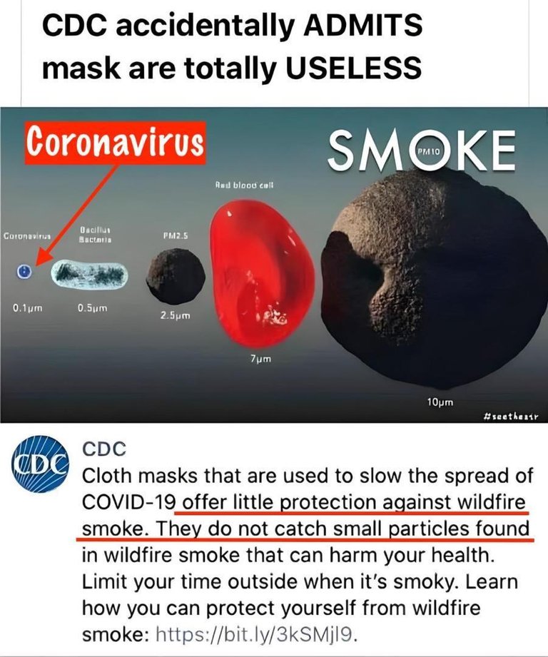 CDC Smoke and viruses-669df761869a4a2954f0489259b7a13d-original.jpg