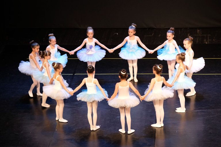 DSCF8858_cr.jpg