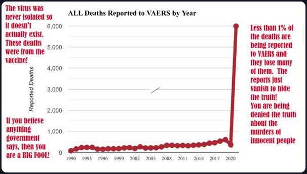 VAERS Deaths-2022-12-27_235234.jpg