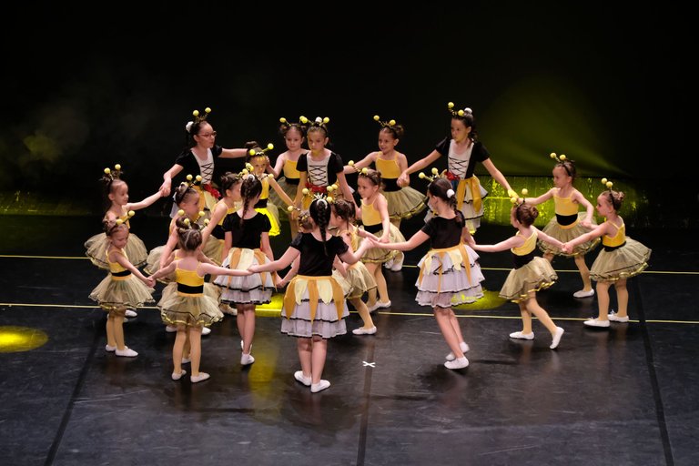 DSCF8793_cr.jpg