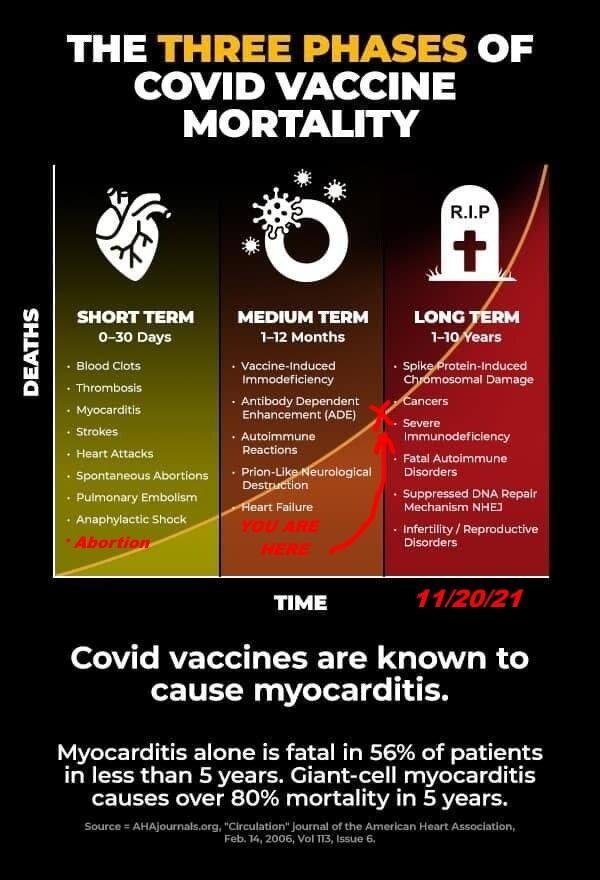 Mioicarditis-rUCcLq2.jpg