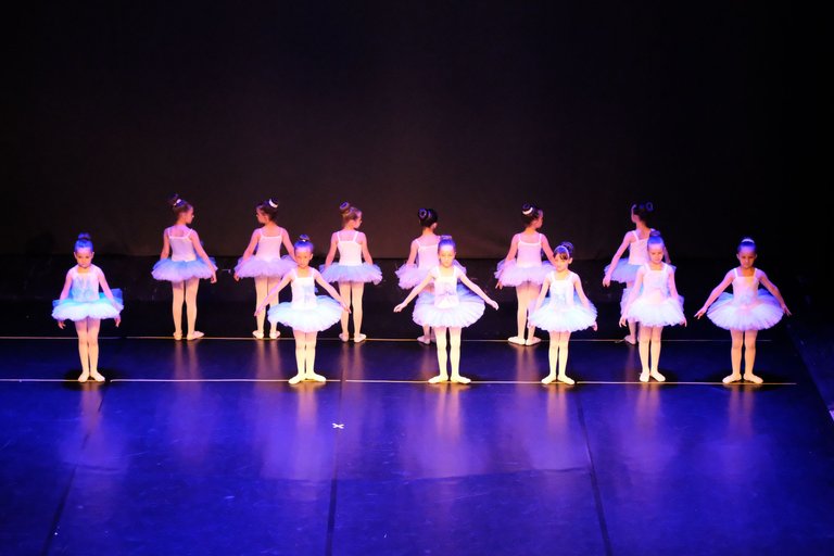 DSCF8978_cr.jpg