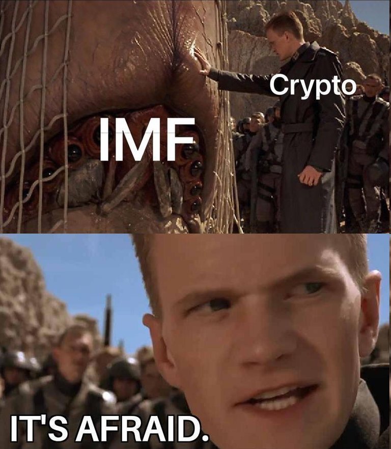 IMF-dF0vnKb.jpg