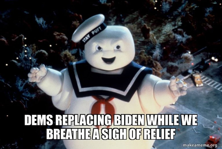 dems-replacing-biden.jpg