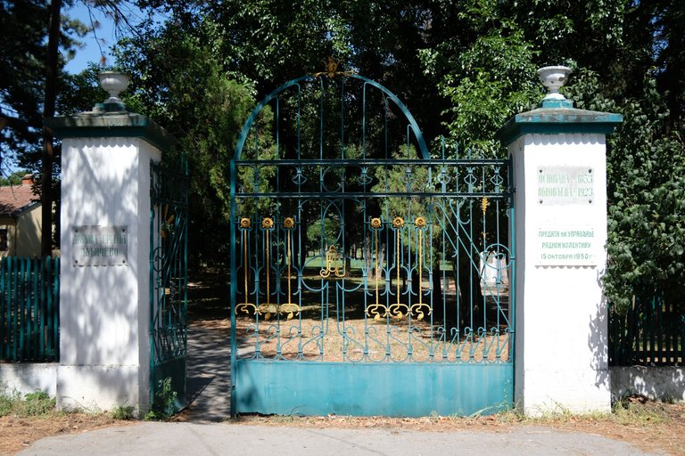 DSCF9613.JPG
