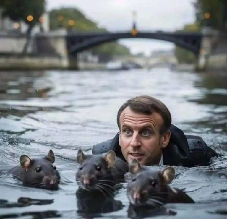 rats-and-macron.jpg