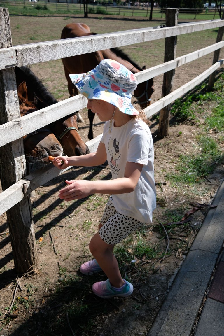 DSCF9574.JPG
