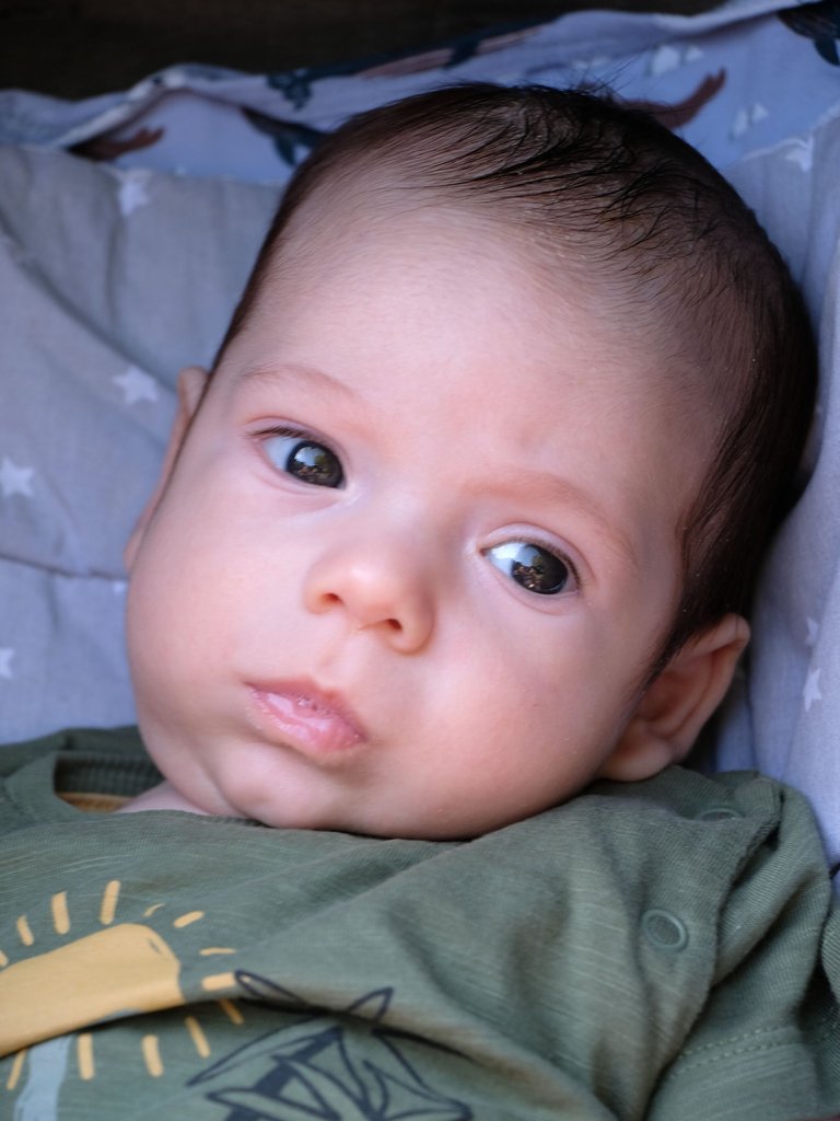 Lazar-DSCF9390_cr-corr.jpg