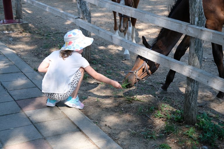 DSCF9590.JPG