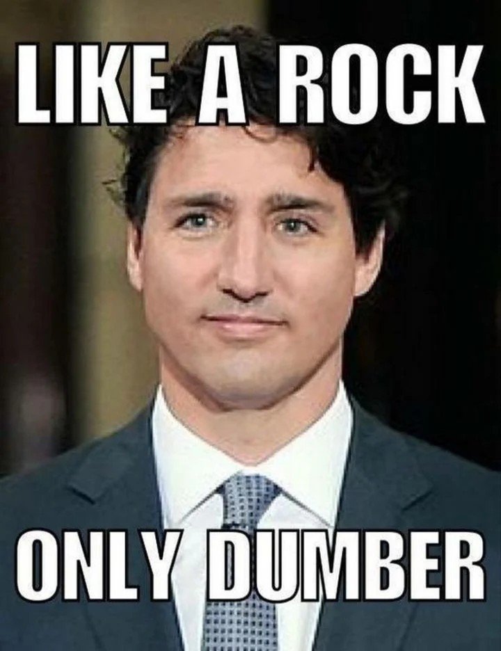 35-justin-trudeau-memes-15-720x936.jpg