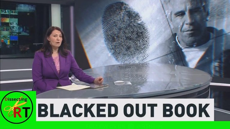 Epstein's Blacked Out Book.mp4_snapshot_00.04.855.jpg