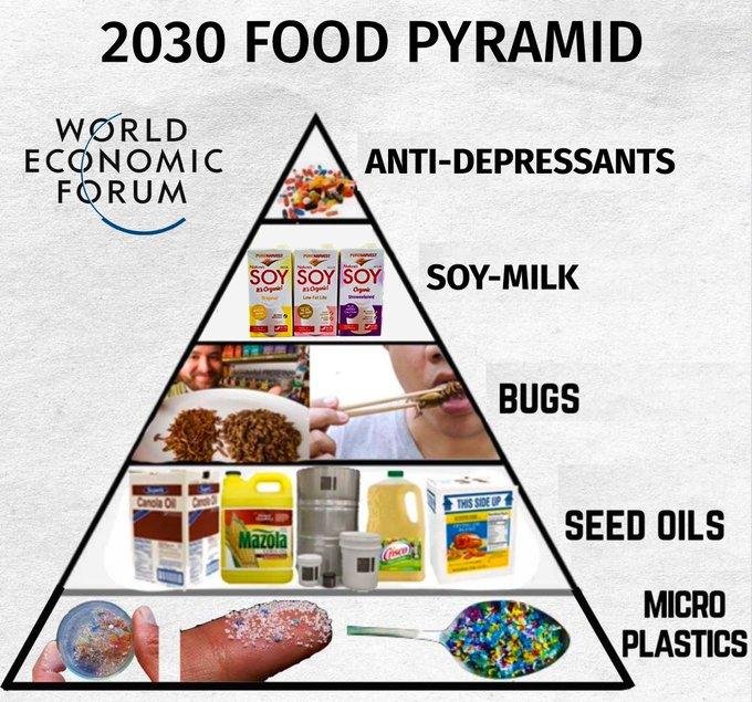 WEF Food Pyramide-hx7mNEZ.jpg