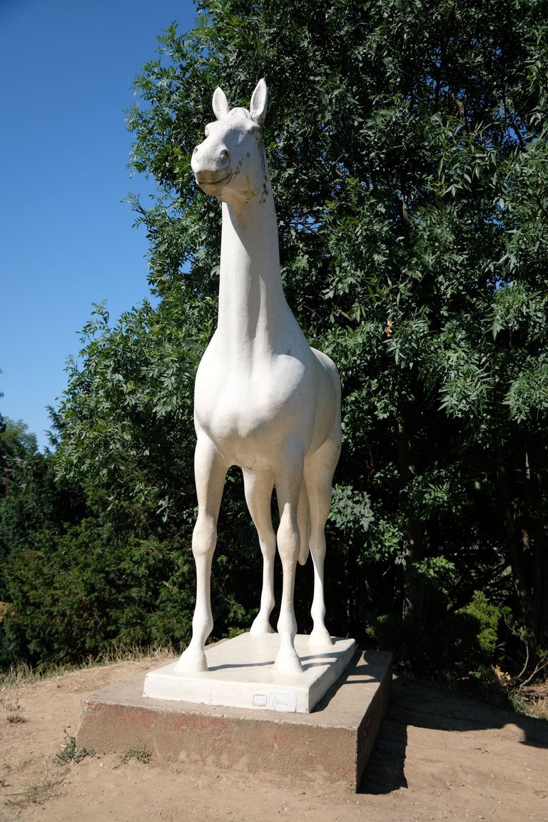 DSCF9592.JPG