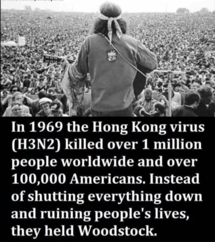 Hong Kong virus-8b423b876560f3f1f7010c7fb14895bf-original.jpg