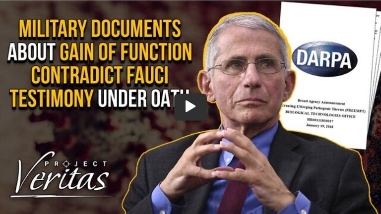Military Documents about Gain of Function contradict Fauci.jpg