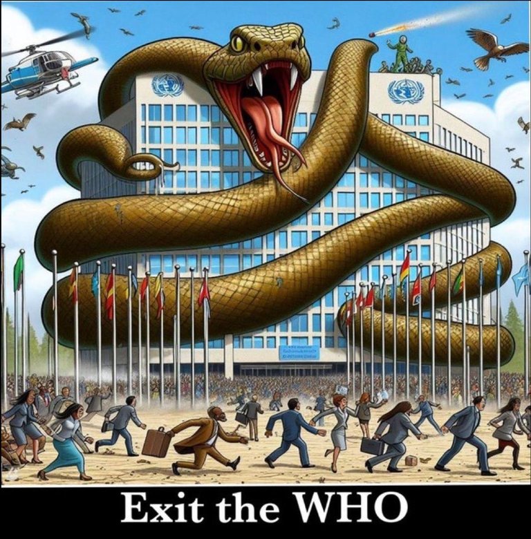 Exit the WHO-6daf08e455ddf6ee5a7f13e334c0a5c9-original.jpg