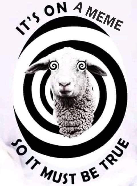 Meme sheep-Oetf0yL.jpg