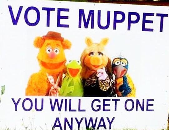 Vote muppet-1b95b6d6428aec63ecc69e948efdb1a2-original-corr.jpg
