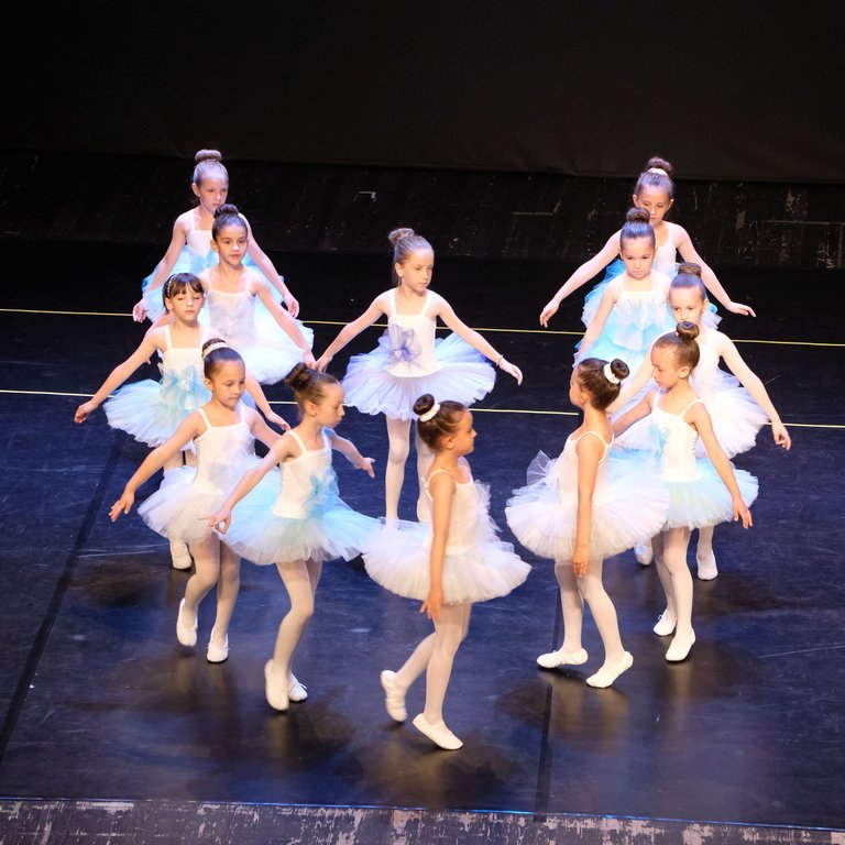 DSCF8855_cr.jpg