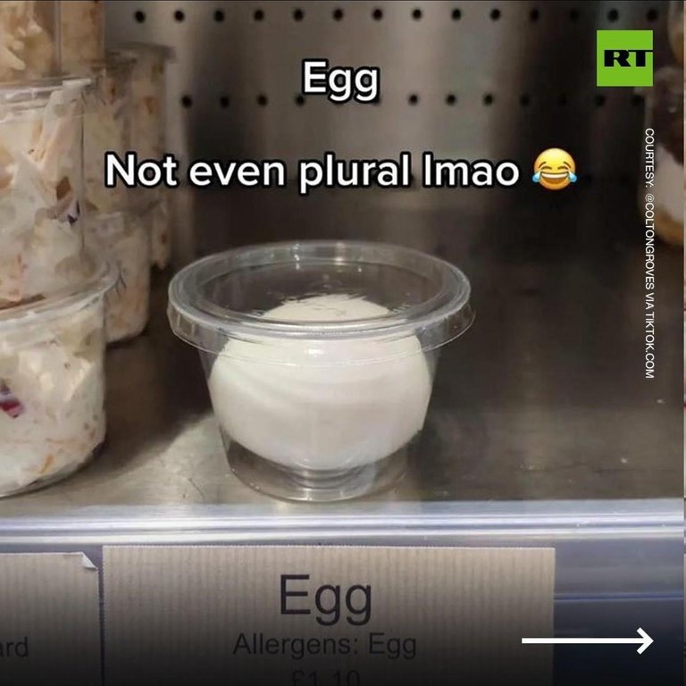 Egg-8ZFrHQV.jpg