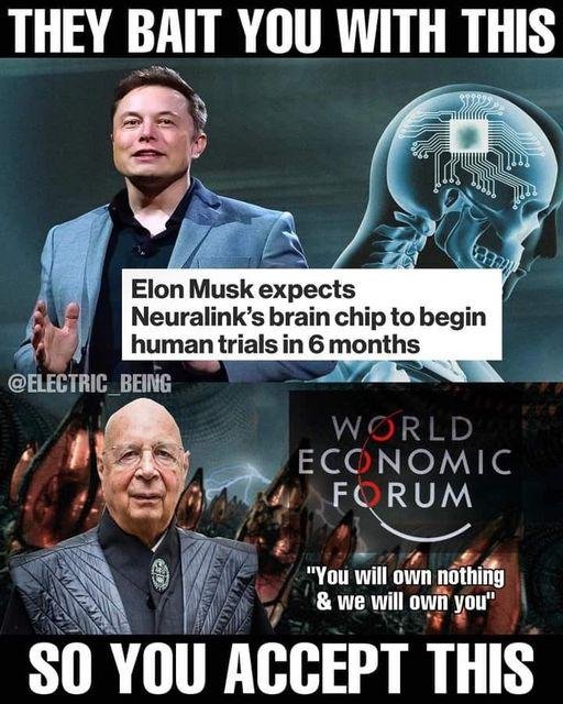 Elon-M0bFPOQ.jpg