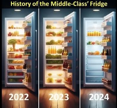 Middle class fridge-D6hiJXj.jpg