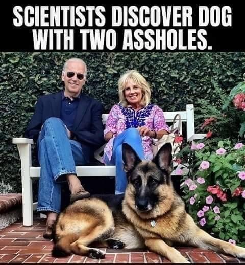 Dog with two assholes-T0PS00Z.jpg
