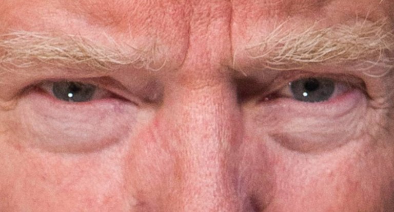 Trump_2025-04-07_12-03-54.jpg