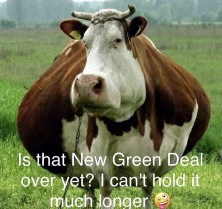Green deal-O1Brn4I.jpg