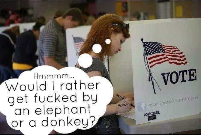 Elephant or a donkey-KRuVOVj.jpg