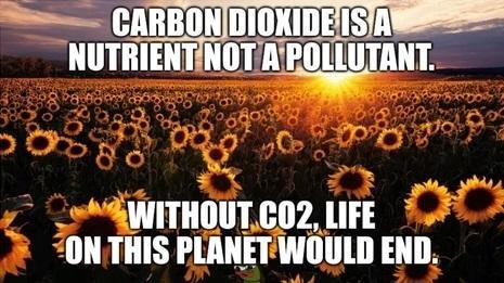 CO2-4bAFrbC.jpg