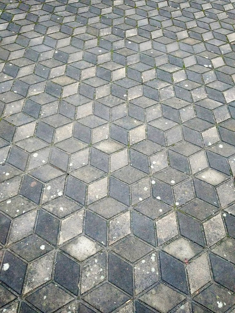 Pavementfs.jpg