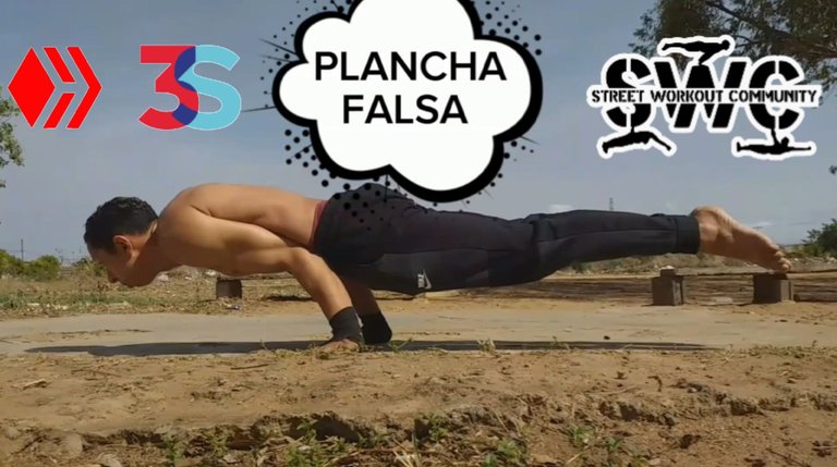 plancha falsa.jpg