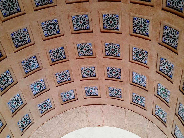 IMG_20250517_204629.jpg