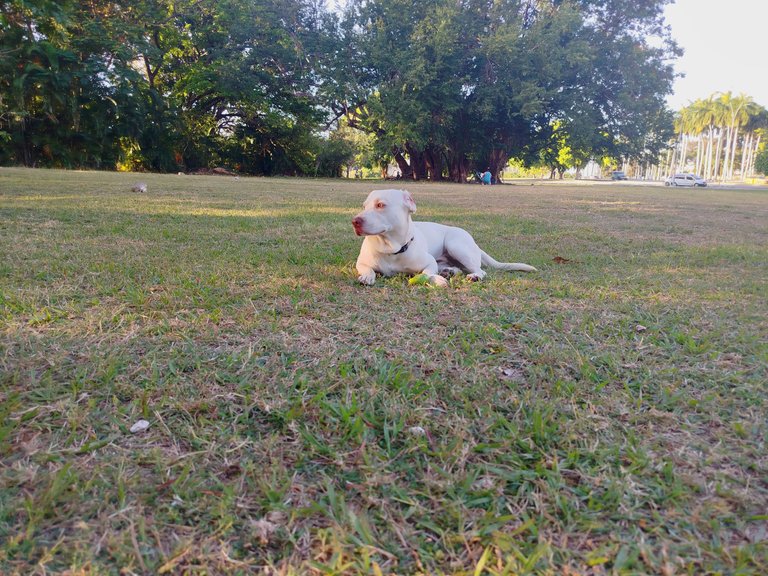 IMG_20250601_091531.jpg
