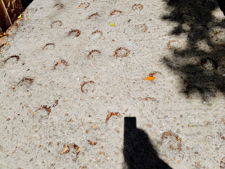 IMG_20250811_163930.jpg