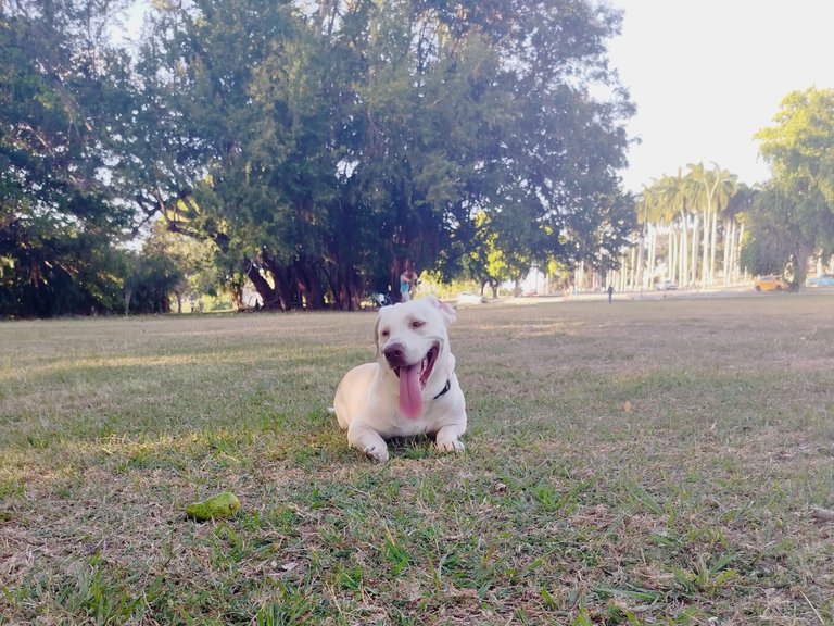 IMG_20250601_091703.jpg