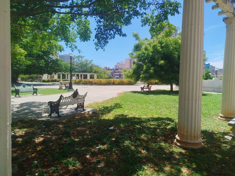 IMG_20250624_171129.jpg