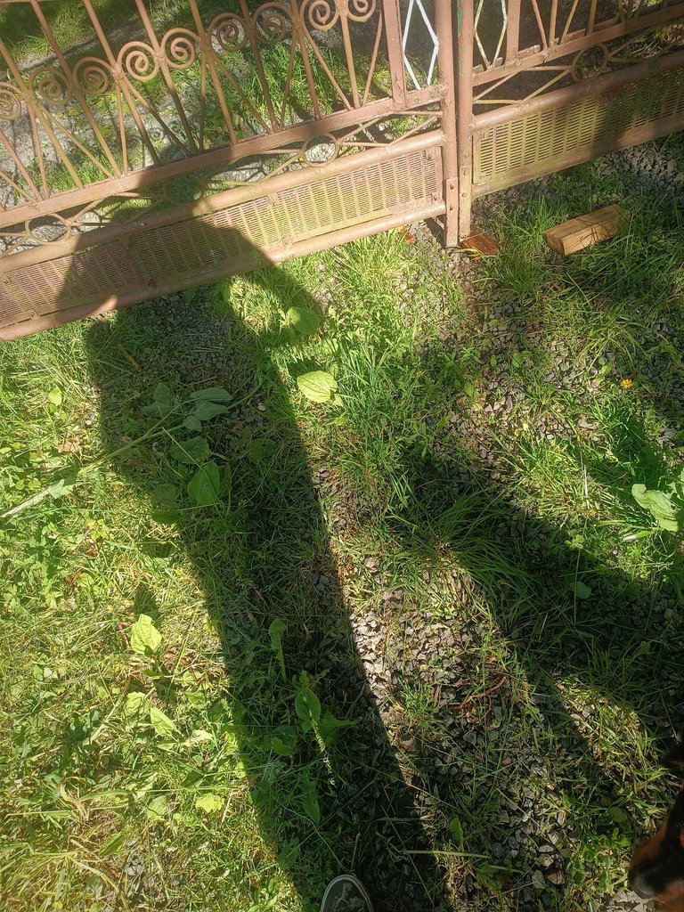 IMG_20250530_205115.jpg