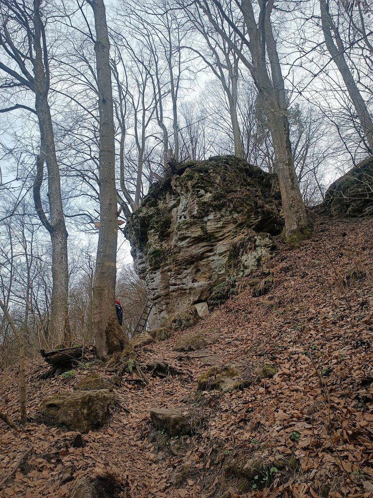 IMG_20250319_113006.jpg