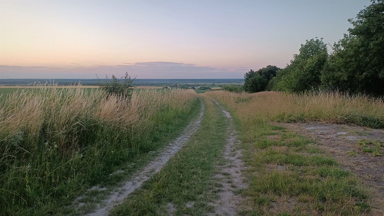 IMG_20250709_140018.jpg