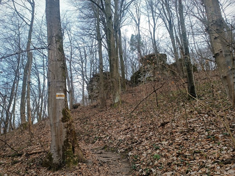 IMG_20250319_113024.jpg