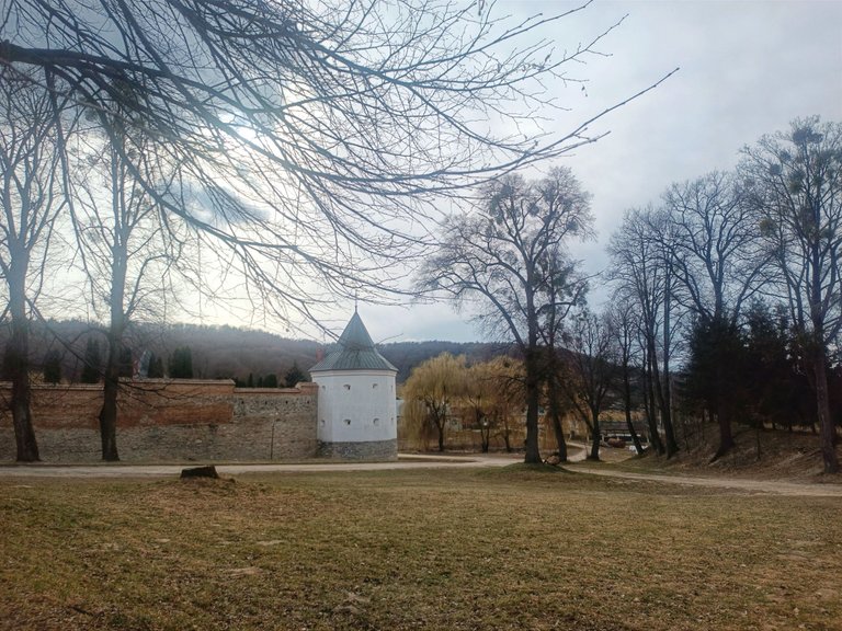 IMG_20250319_111500.jpg